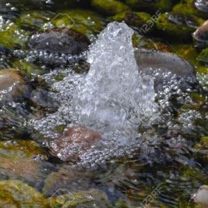 Izvorul – Omraam Mikhael Aivanhov