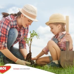 Programul Spatii Verzi