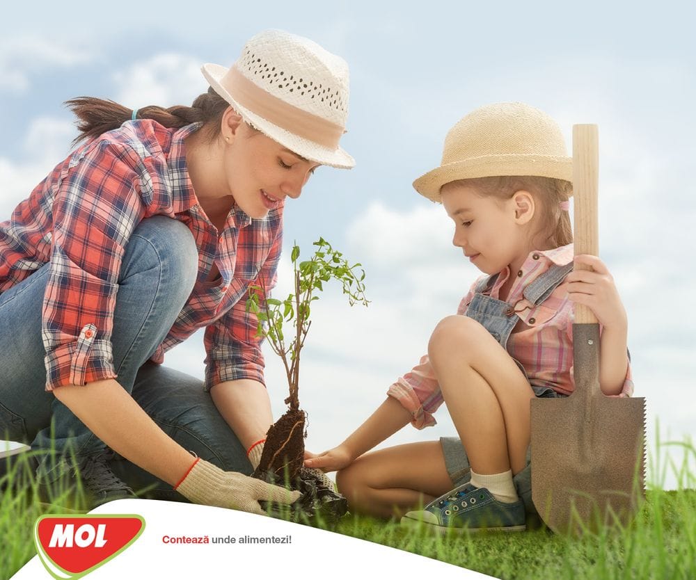 Programul Spatii Verzi