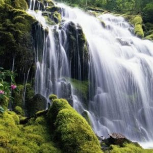 Apă cu iubire și recunoștință