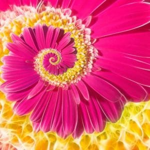 Combinații de 39 remedii luate cate 7 … ?