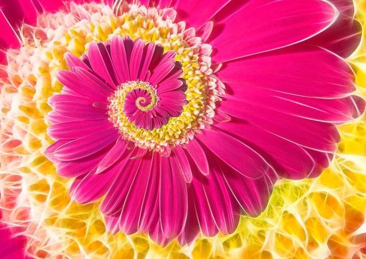 Combinații de 39 remedii luate cate 7 … ?