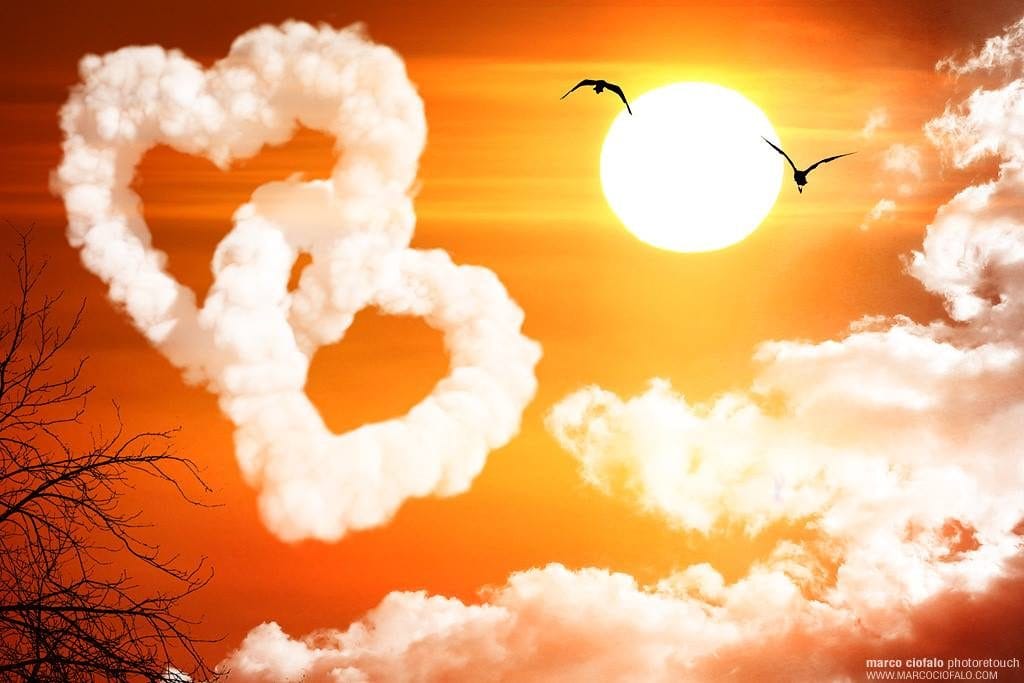 Cap – inimă? Inimă – cap?