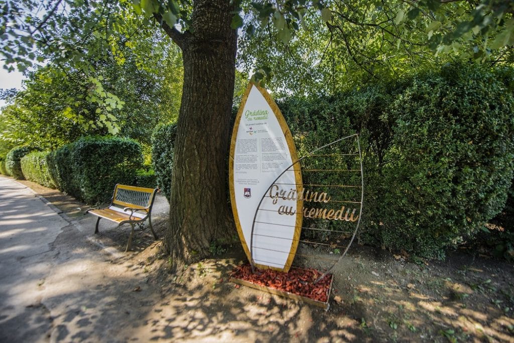 Secom a finalizat amenajarea sectorului de plante medicinale și utile din Grădina Botanică „Dimitrie Brândza”, București