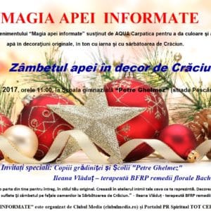 “MAGIA APEI INFORMATE” – ediția a opta