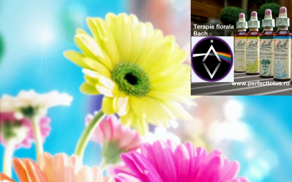 Comunicarea autentică cu sine şi cu ceilalţi. 38 de remedii florale Bach