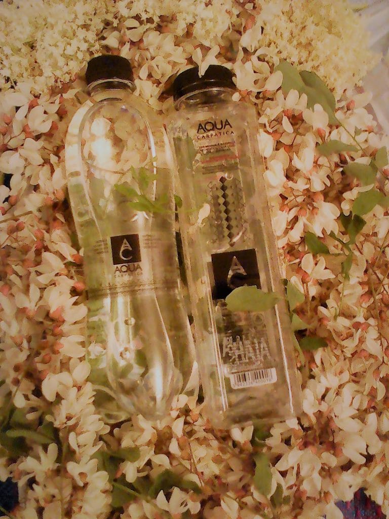 Ediția XII -“Magia apei informate”cu AQUA CARPATICA