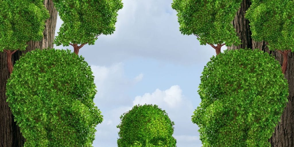 Cum te vezi tu şi cum te văd ceilalţi?