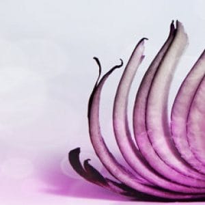 Ghid in calatoria ta …. spre tine