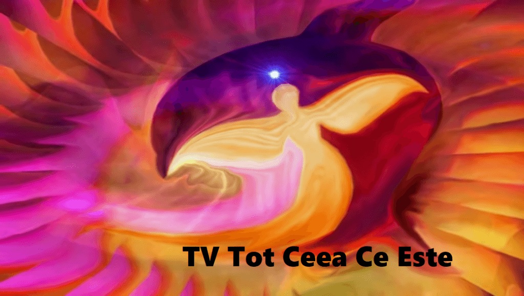 TV Tot Ceea Ce Este TV Tot Ceea Ce Este