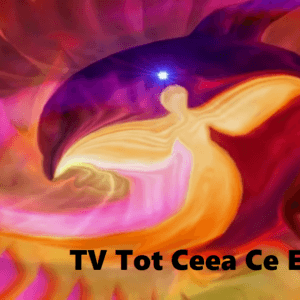 TV Tot Ceea Ce Este