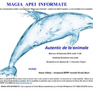 Autentici la ediţia XXI MAGIA APEI INFORMATE