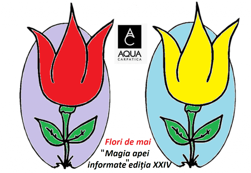 “Magia apei informate” ediția XXIV- Tot ce vine in viata are un sens mai mare