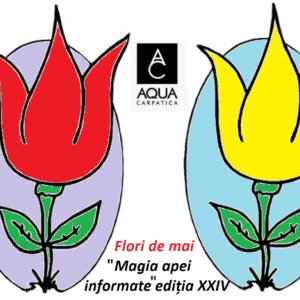 “Magia apei informate” ediția XXIV- Tot ce vine in viata are un sens mai mare