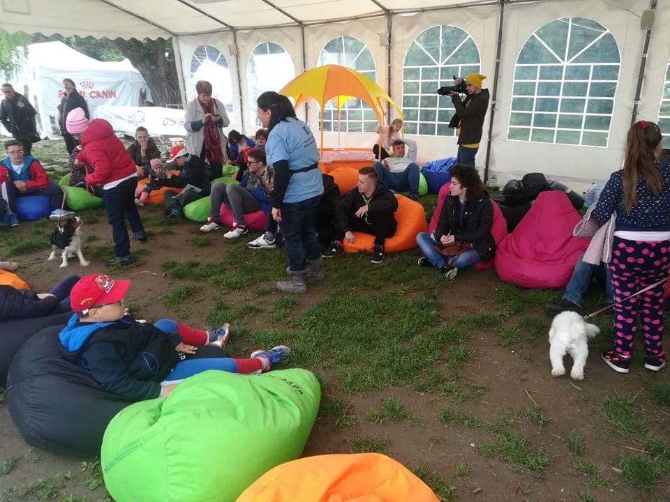 (VIDEO) PET FEST  9-12 mai 2019. Prietenii necuvantatori ai omului