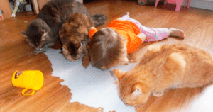 Așa arată 5 minute de liniște: 15 Fotografii cu cele mai haioase trăsnăi ale copiilor!