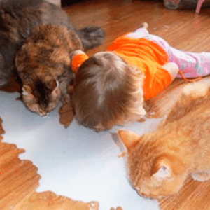 Așa arată 5 minute de liniște: 15 Fotografii cu cele mai haioase trăsnăi ale copiilor!