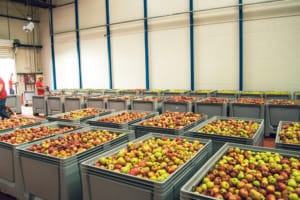 Alexandrion Group a pus la fermentat fructele din recolta de toamnă