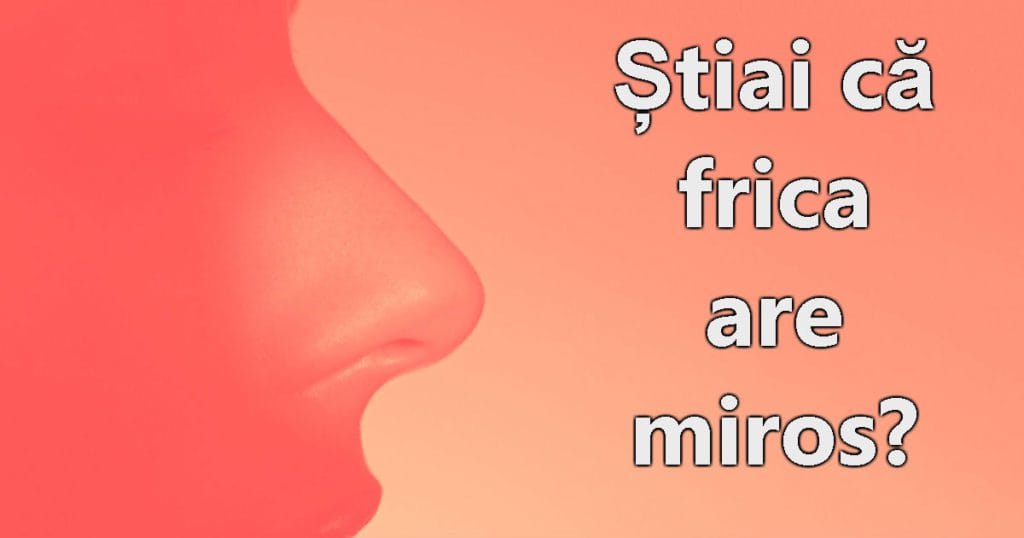 7 Lucruri incredibile pe care le poți detecta cu ajutorul mirosului, deși nu știi de asta!