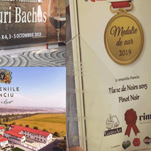 Marea Medalie de aur pentru Domeniile Panciu la Festivalul Internațional al Viei și Vinului Bachus 2019