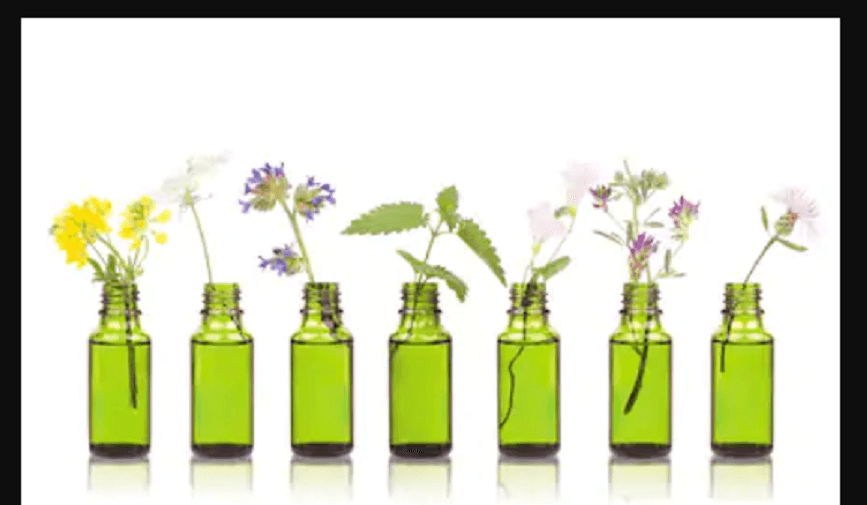 De ce sa alegi terapia florala Bach