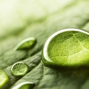 10 actiuni prin care faci pasi spre imbunatatirea sanatatii tale