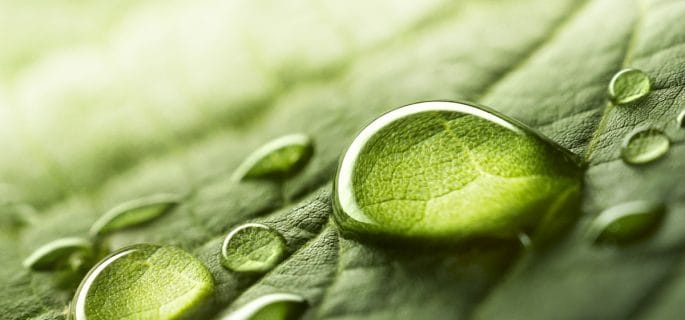 10 actiuni prin care faci pasi spre imbunatatirea sanatatii tale