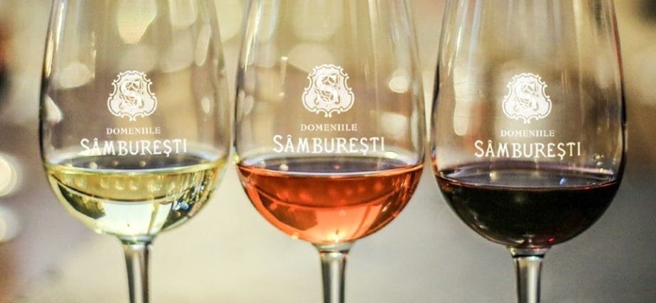 Domeniile Sâmburești, pe prima poziție în topul celor mai vizibile branduri de vin pe Facebook în luna octombrie 2019 Domeniile Sâmburești, pe prima poziție în topul celor mai vizibile branduri de vin pe Facebook în luna octombrie 2019