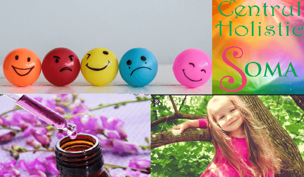 Ateliere de povesti, jocuri si creativitate pentru copii si un plus de echilibru emotional cu remedii florale Bach la Centrul Holistic Soma