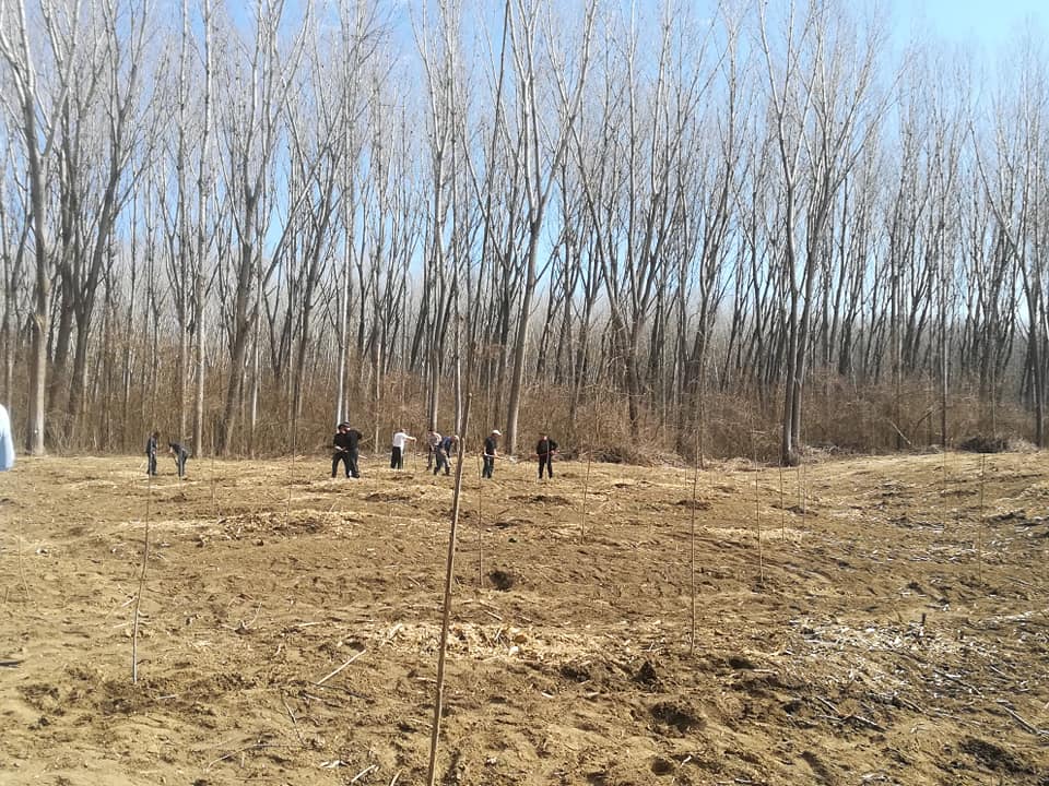 “Focus to Green-Eco-Life”  la ediția a V-a, pentru ca tu să respiri