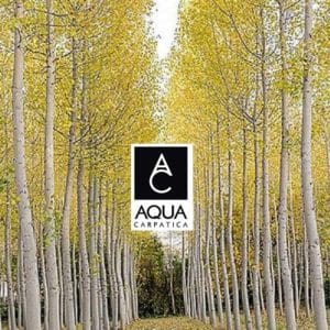  “Focus to Green-Eco-Life” in calitate de aliat al padurilor la ediția a V-a