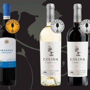 Vinurile The Iconic Estate, din portofoliul Alexandrion Group, au obţinut 10 medalii de aur şi argint la International Wine Contest Bucharest Vinarium 2020