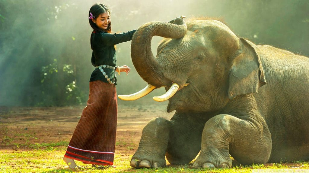 Citeste povestea elefantului … verde!