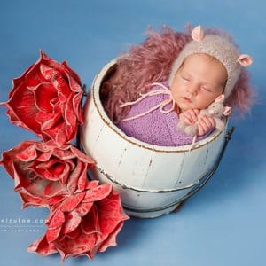 Sedinte foto pentru primele luni de viata ale bebelusului