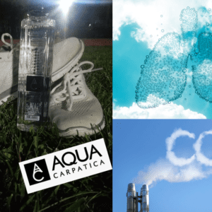 „Focus to Green Eco Life”  pentru un aer mai curat in Bucuresti