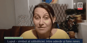 ALEGERI POTRIVITE pentru „omul-lup” sau cum ne descurcam in lume traind in „haita”