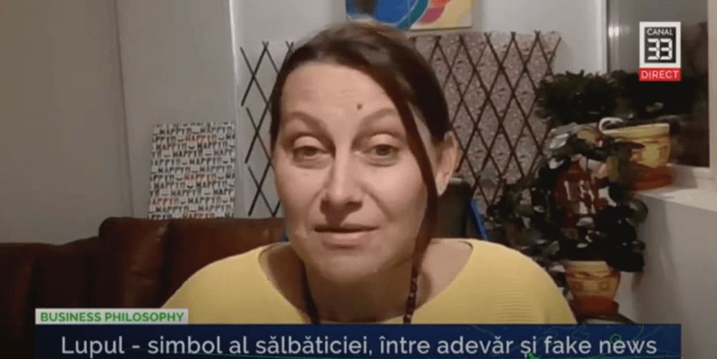 ALEGERI POTRIVITE pentru „omul-lup” sau cum ne descurcam in lume traind in „haita”