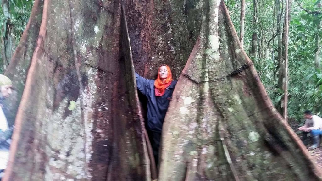 Cinci pasi pentru a depasi o trauma