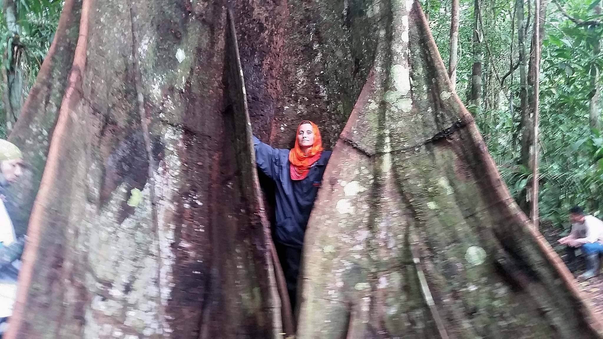 Cinci pasi pentru a depasi o trauma