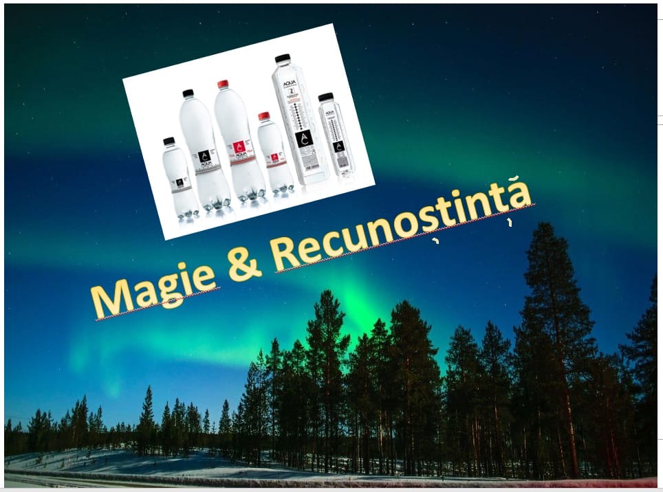 „Magia Apei Informate” – recunoştinţǎ şi hidratare alǎturi de bradul verde de  Crǎciun