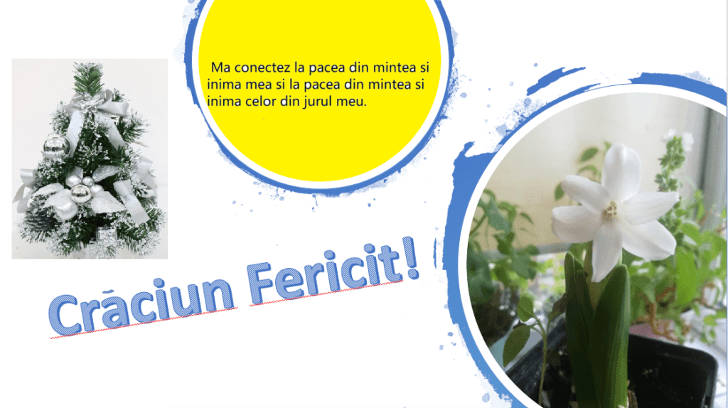 Crăciunul 2020 – ce activități festive poți face