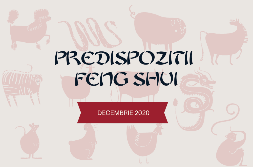 Predispozitii Feng Shui pentru luna Decembrie