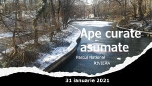 “Ape curate asumate” –  sfarsit de ianuarie in Parcul National Riviera, Bucuresti