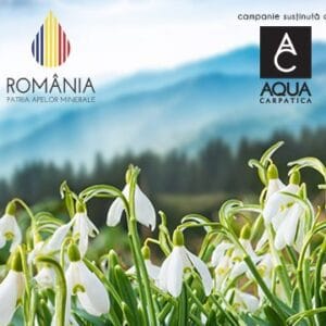 Aqua Carpatica, lider în topul celor mai vizibile branduri de apă în online și pe Facebook din luna februarie
