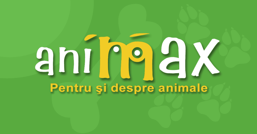 Ziua Internaţională a Animalelor fără Stăpân