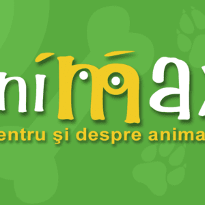 Ziua Internaţională a Animalelor fără Stăpân