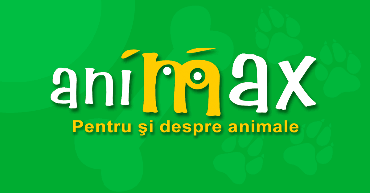 Ziua Internaţională a Animalelor fără Stăpân