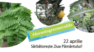 22 aprilie -“Focus to Green-Eco-life” Sărbătorește Ziua Pământului!