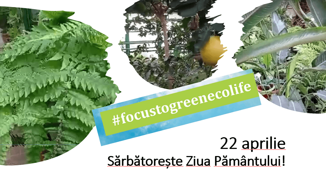 22 aprilie -“Focus to Green-Eco-life” Sărbătorește Ziua Pământului!