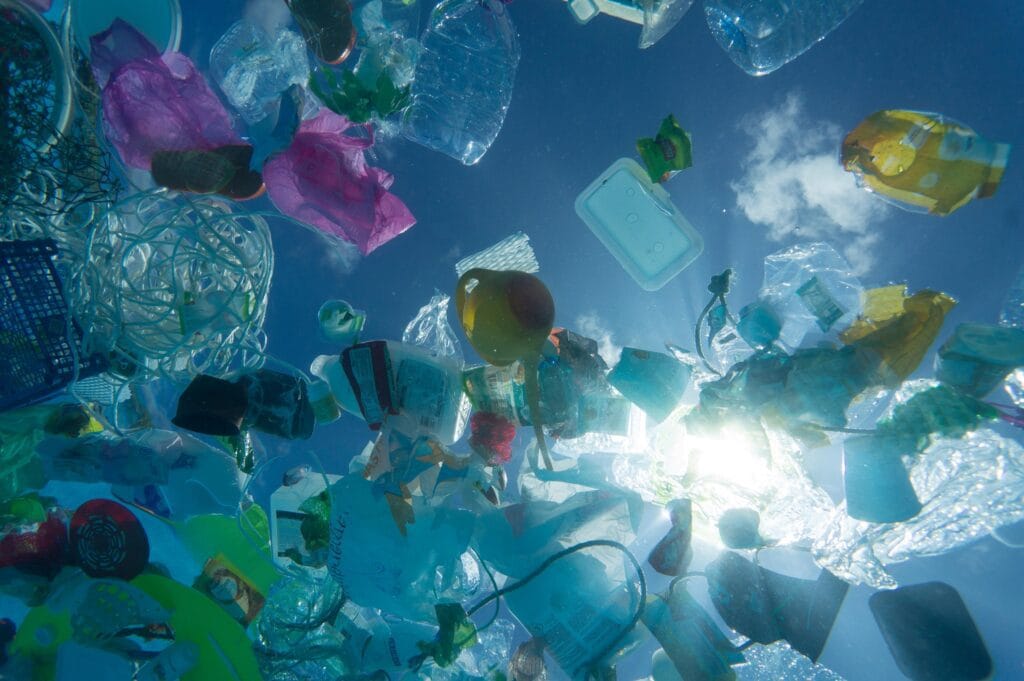 Aleargă! Poti scoate plasticul din oceane cu fiecare kilometru alergat Aleargă! Poti scoate plasticul din oceane cu fiecare kilometru alergat